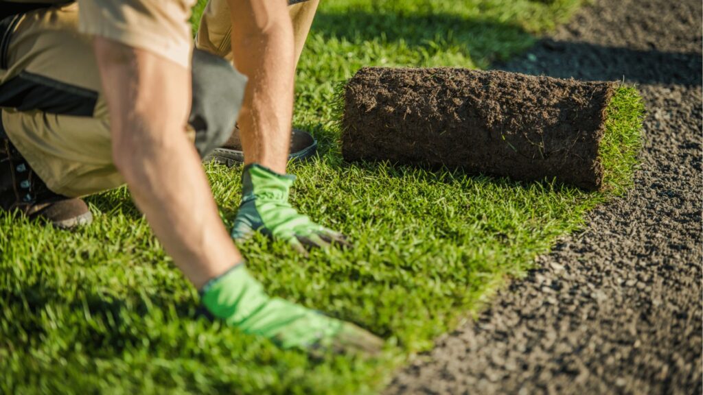 PUP Pavers Artificial Grass and Turf Maintenance
