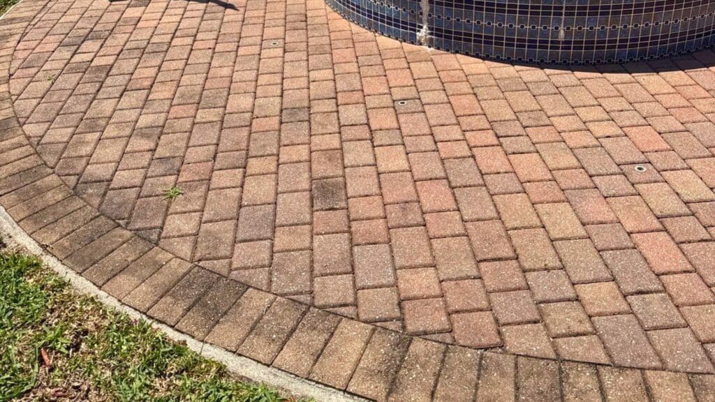 Saltwater Damage to Pavers What Palm Beach Coastal Homeowners Need to Know Salt Water Paver Discoloration Pup Pavers and Turf Florida