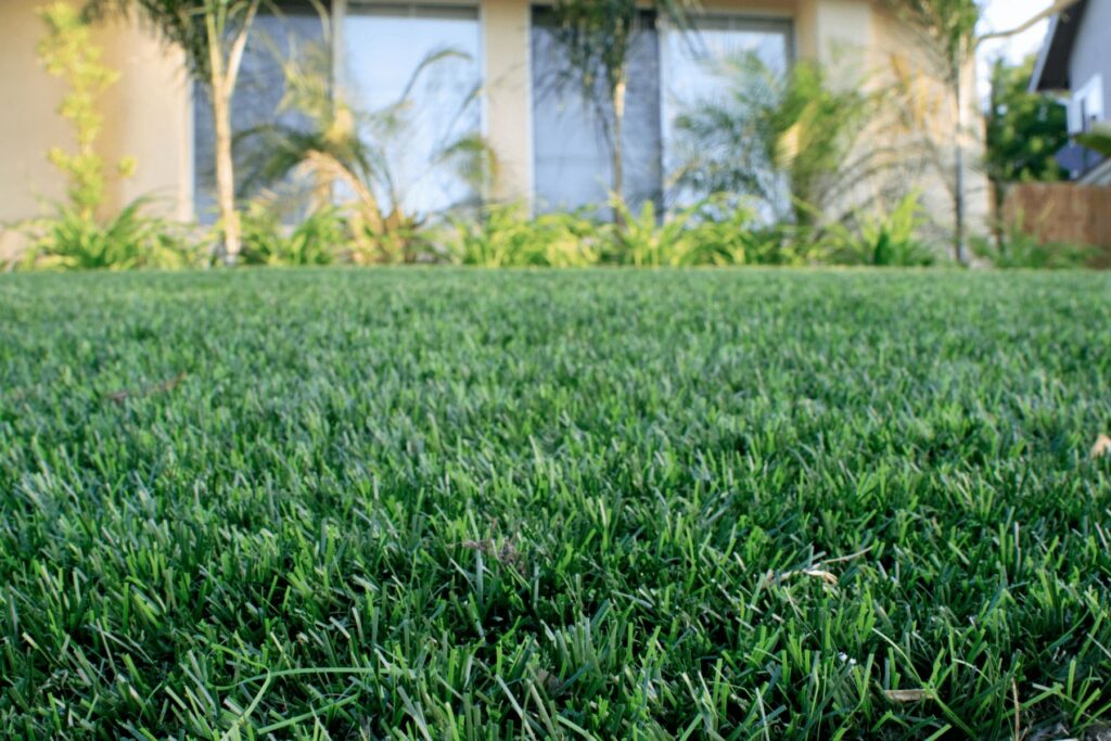 Synthetic Lawn Installation Natural Look Florida PUP Pavers Turf